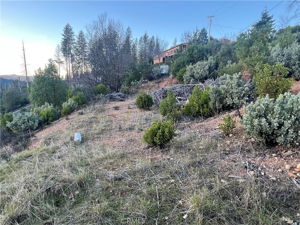 16710 Starview Loop Rd Property Photo 5