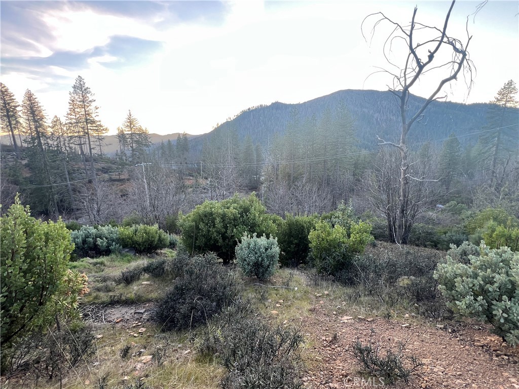 16710 Starview Loop Rd Property Photo 6