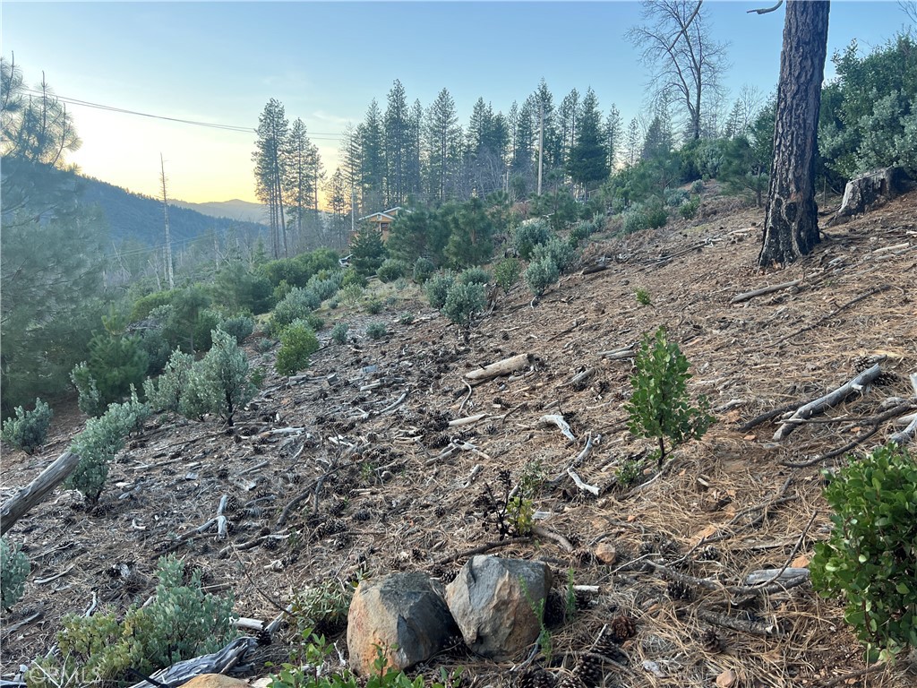 16710 Starview Loop Rd Property Photo 10
