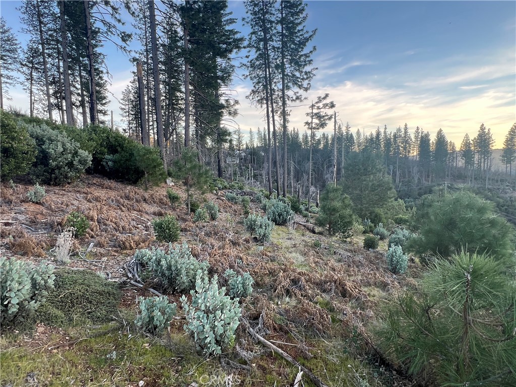 16710 Starview Loop Rd Property Photo 12