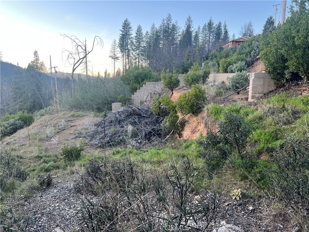 16789 Starview Loop Property Photo 2