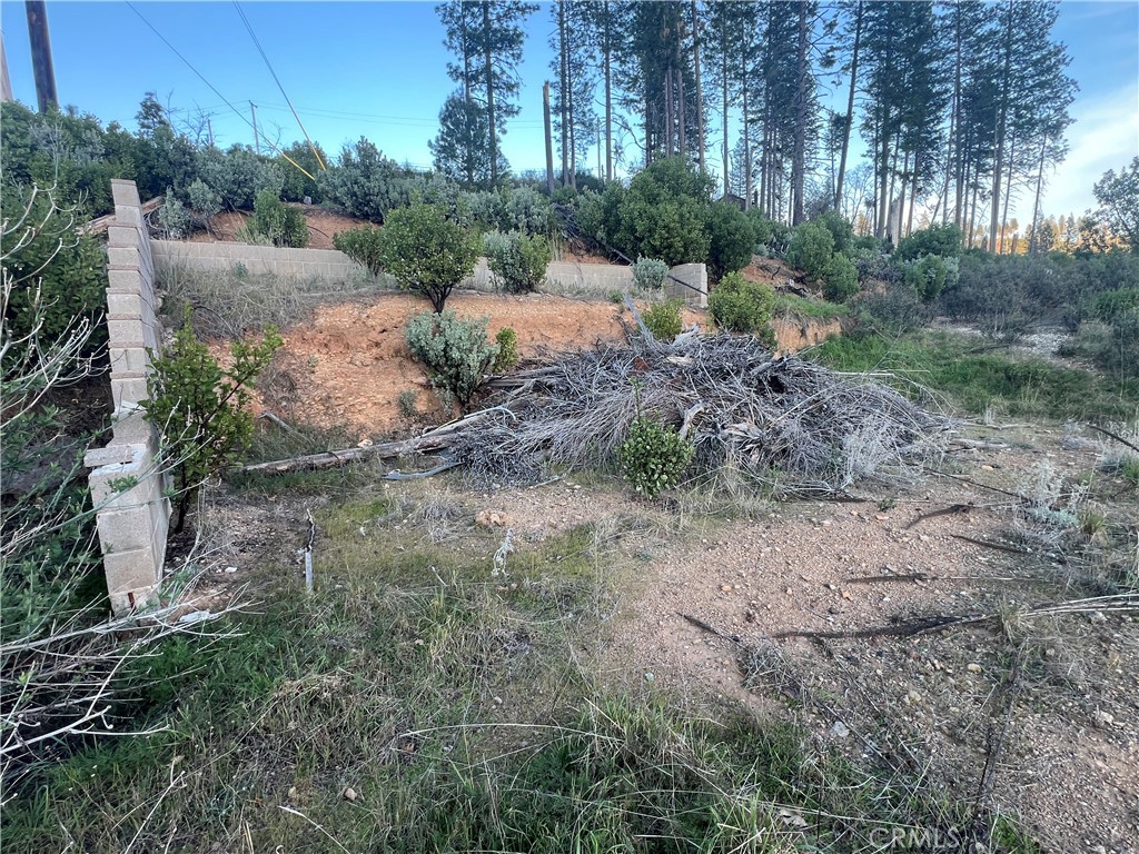 16789 Starview Loop Property Photo 3