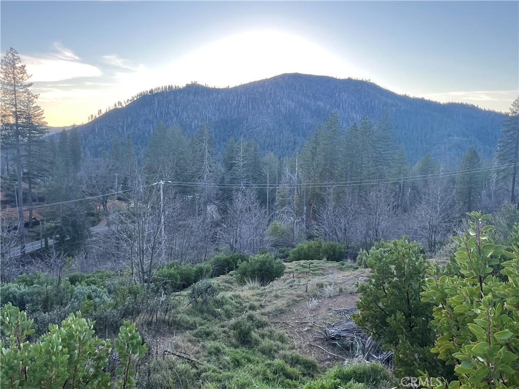 16709 Starview Loop Property Photo 1