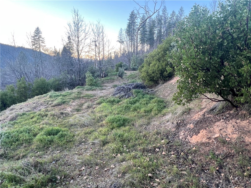 16709 Starview Loop Property Photo 2