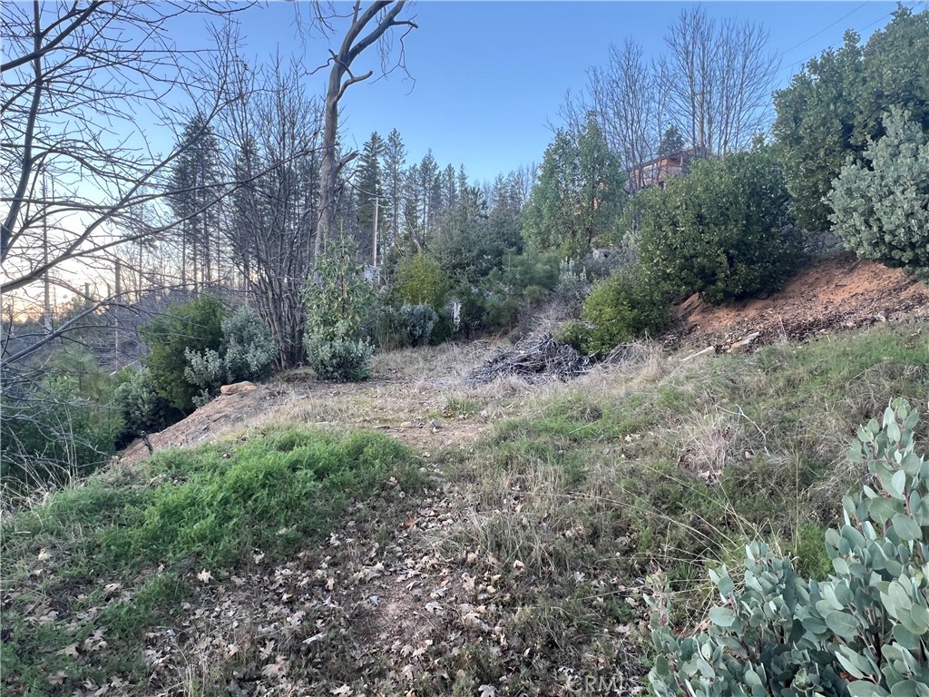 16709 Starview Loop Property Photo 5