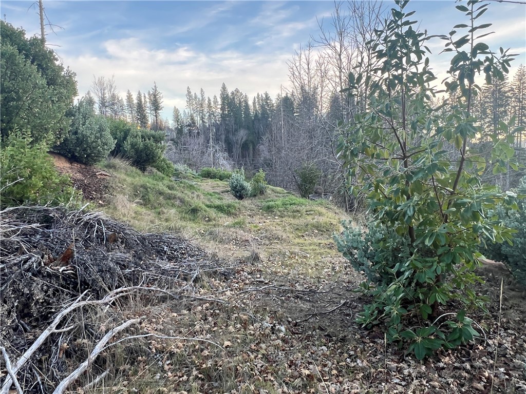 16709 Starview Loop Property Photo 6