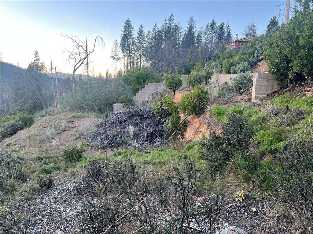 16749 Starview Loop Road Property Photo 3