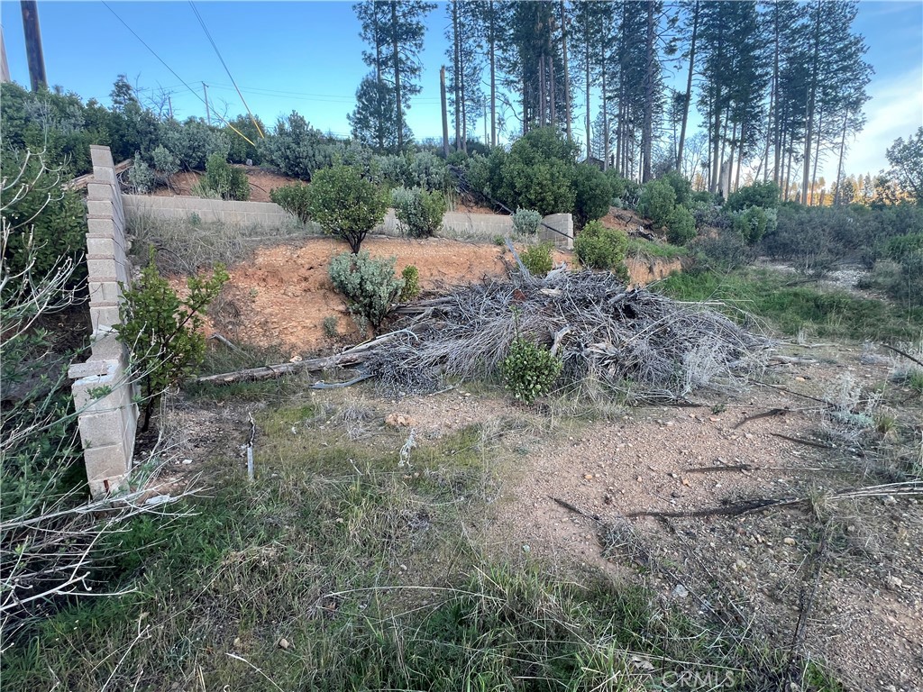16749 Starview Loop Road Property Photo 4