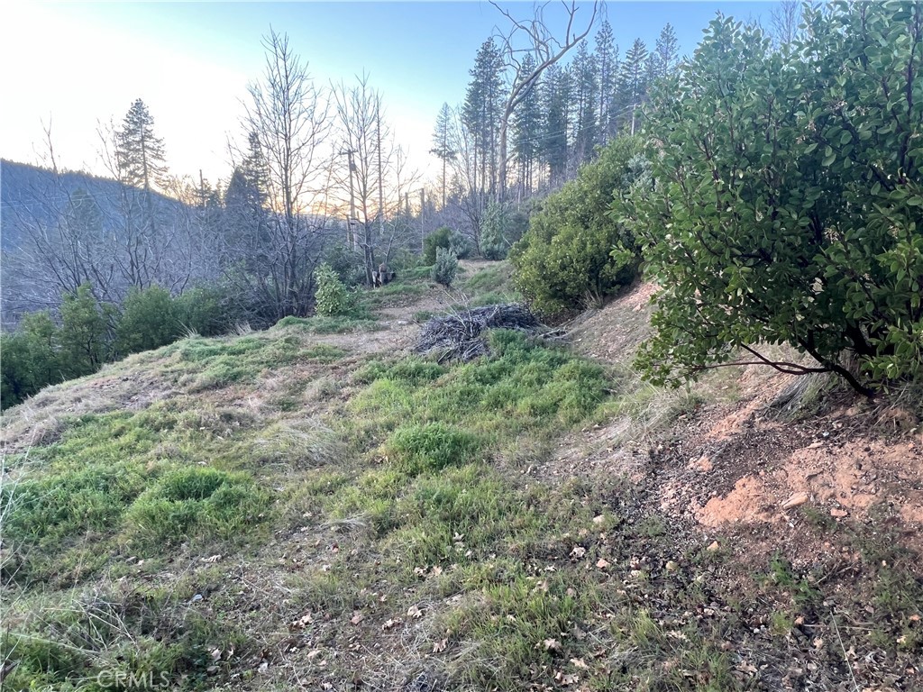 16749 Starview Loop Road Property Photo 6