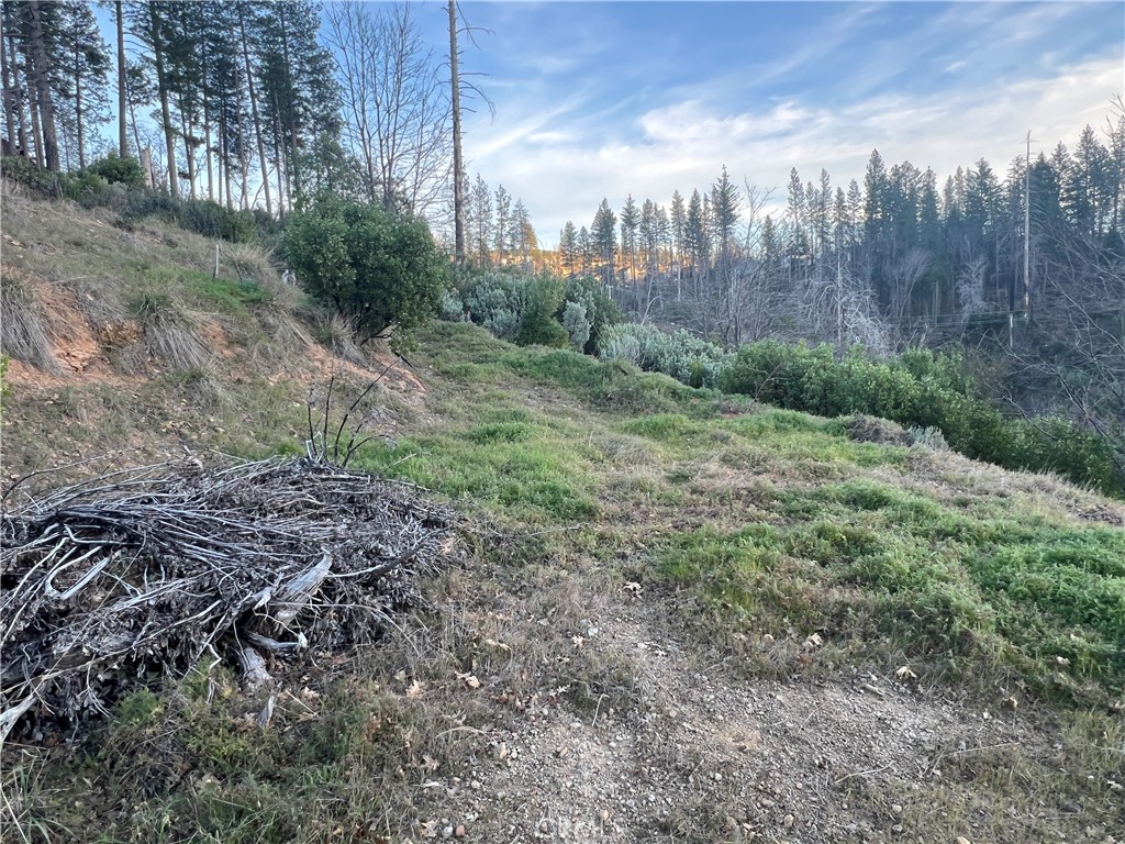 16749 Starview Loop Road Property Photo 7