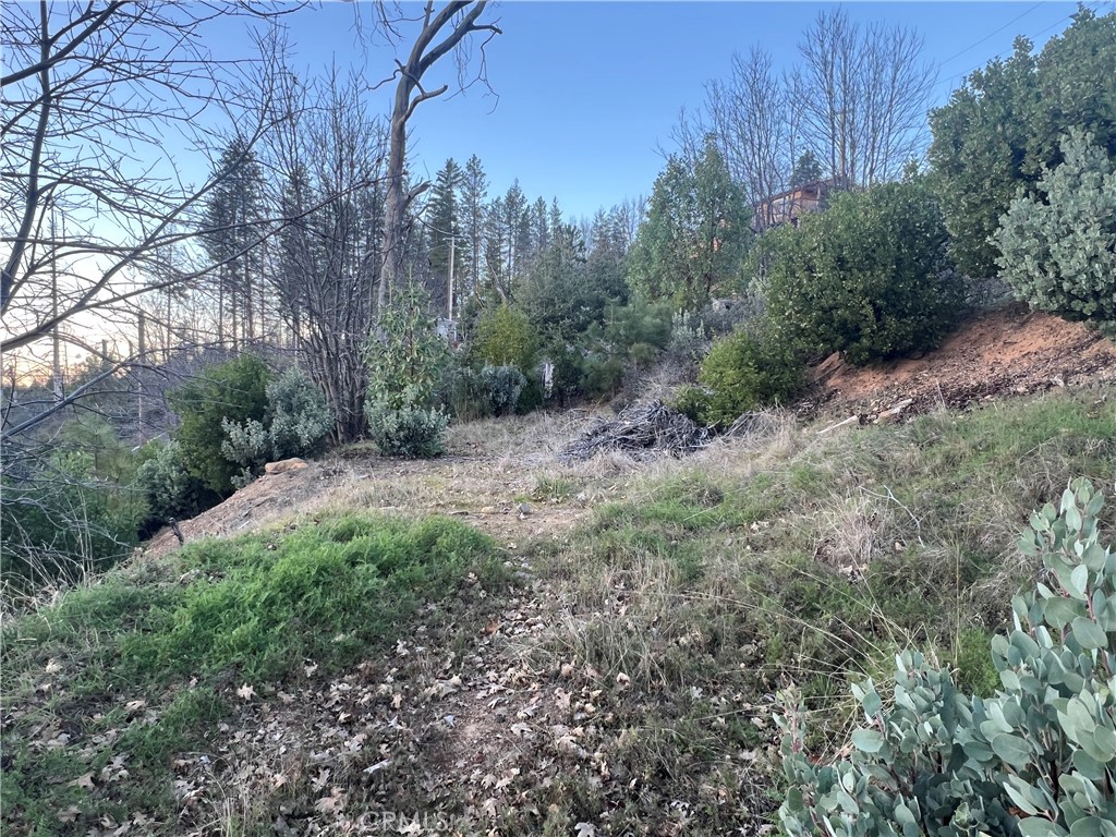 16749 Starview Loop Road Property Photo 8