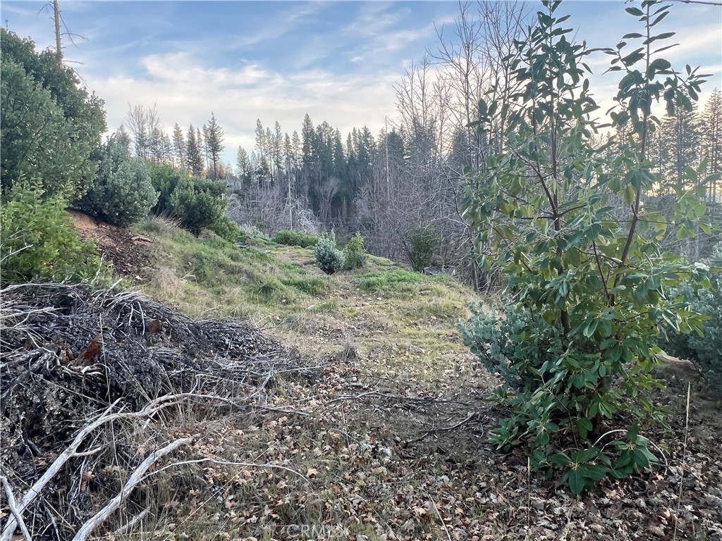 16749 Starview Loop Road Property Photo 9