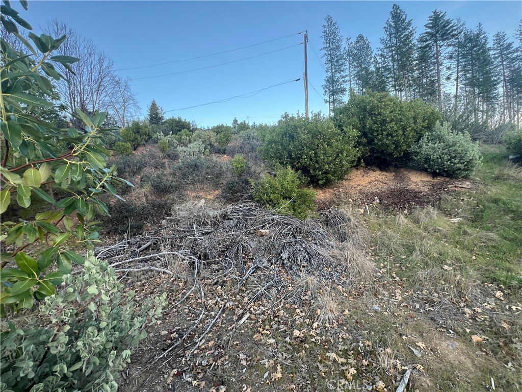 16749 Starview Loop Road Property Photo 10