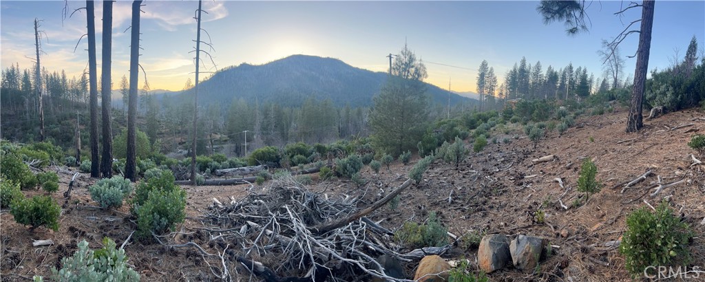 16749 Starview Loop Road Property Photo 11