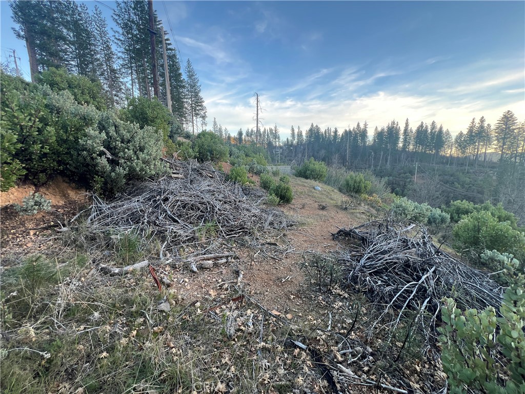 16749 Starview Loop Road Property Photo 14