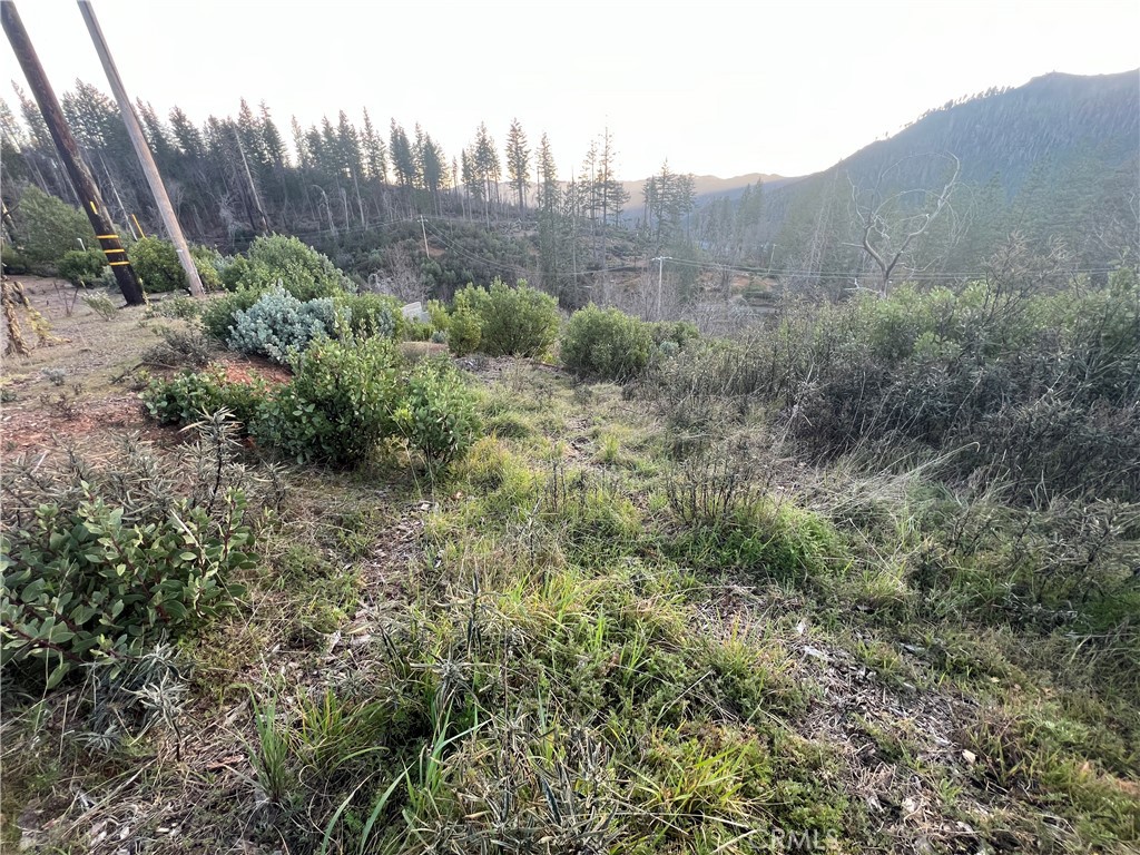 16749 Starview Loop Road Property Photo 16