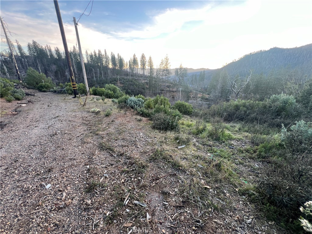 16749 Starview Loop Road Property Photo 17
