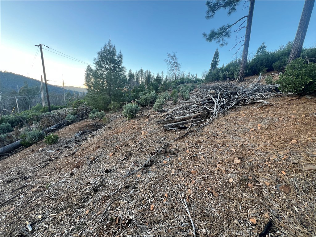 16749 Starview Loop Road Property Photo 19