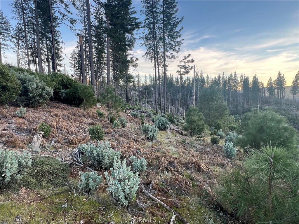 16749 Starview Loop Road Property Photo 23