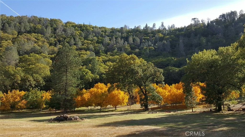 13449 Anderson Road Property Photo 6