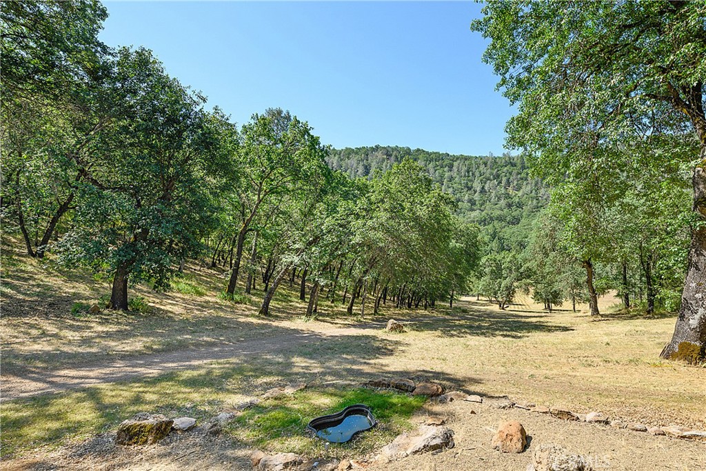 13449 Anderson Road Property Photo 38