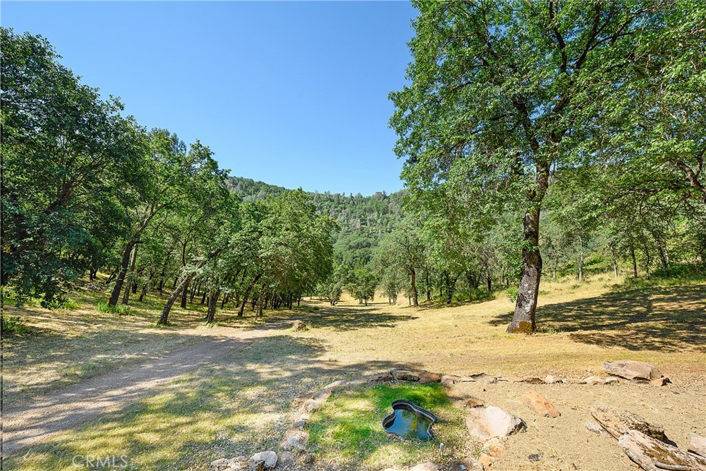 13449 Anderson Road Property Photo 39