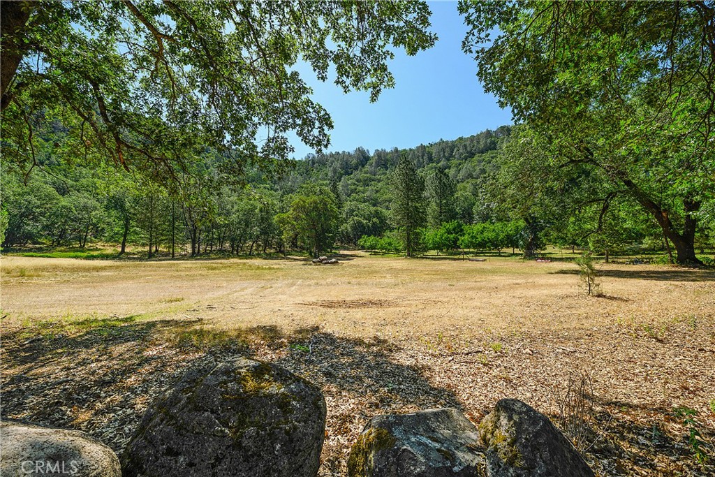 13449 Anderson Road Property Photo 46