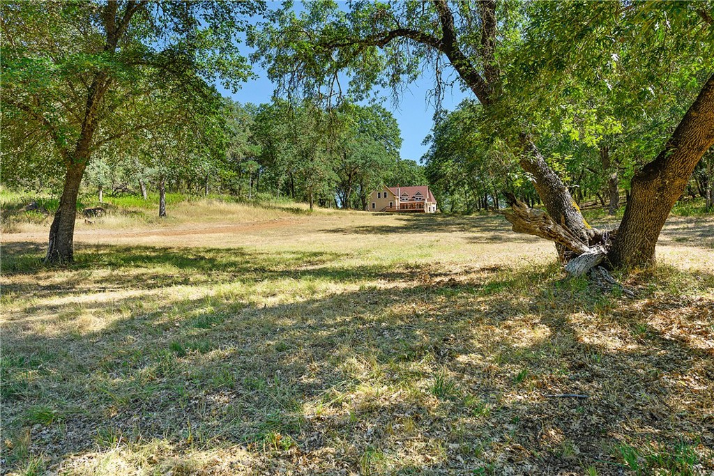 13449 Anderson Road Property Photo 48