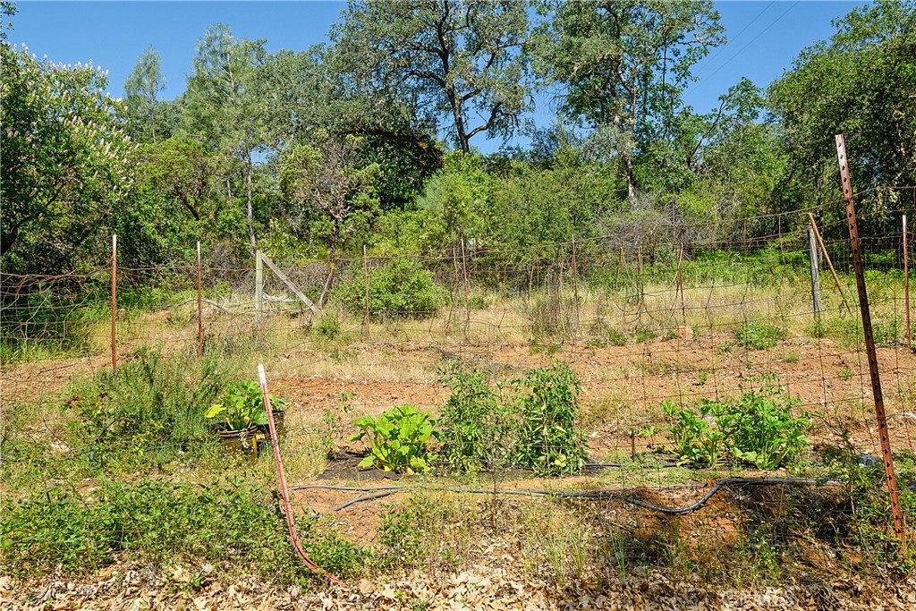 13449 Anderson Road Property Photo 50