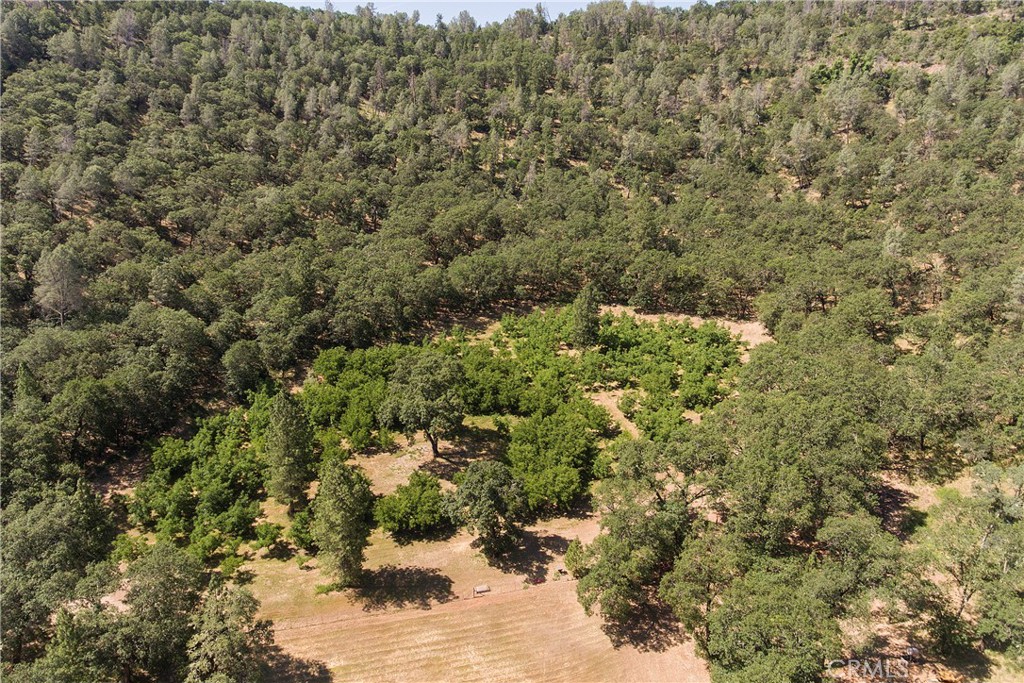 13449 Anderson Road Property Photo 54