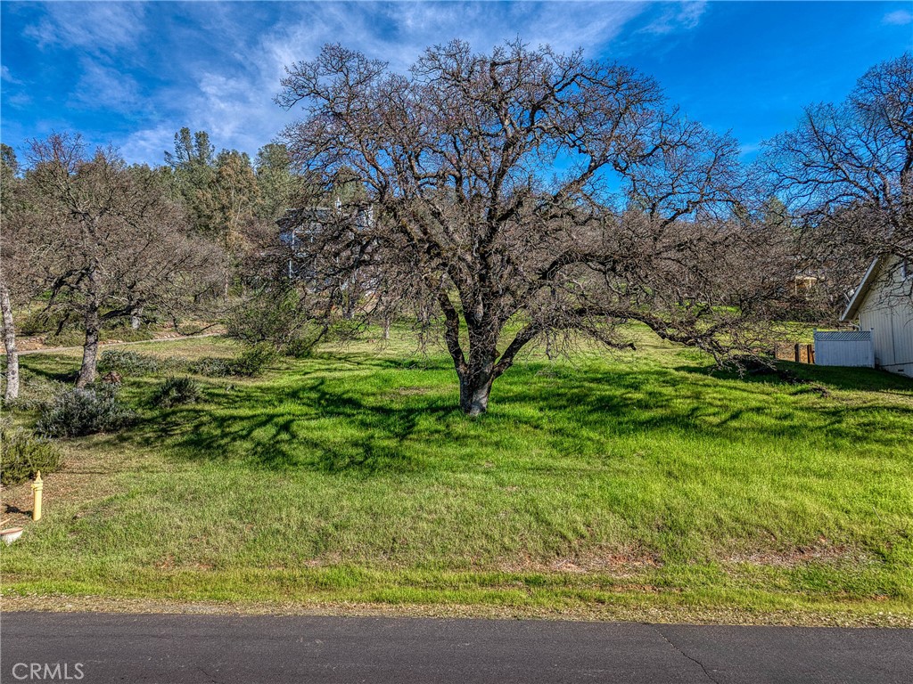 18954 Deer Hill Road Property Photo 7