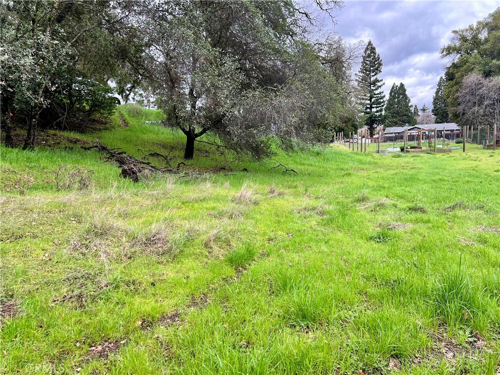 6590 Hotel Road Property Photo 1