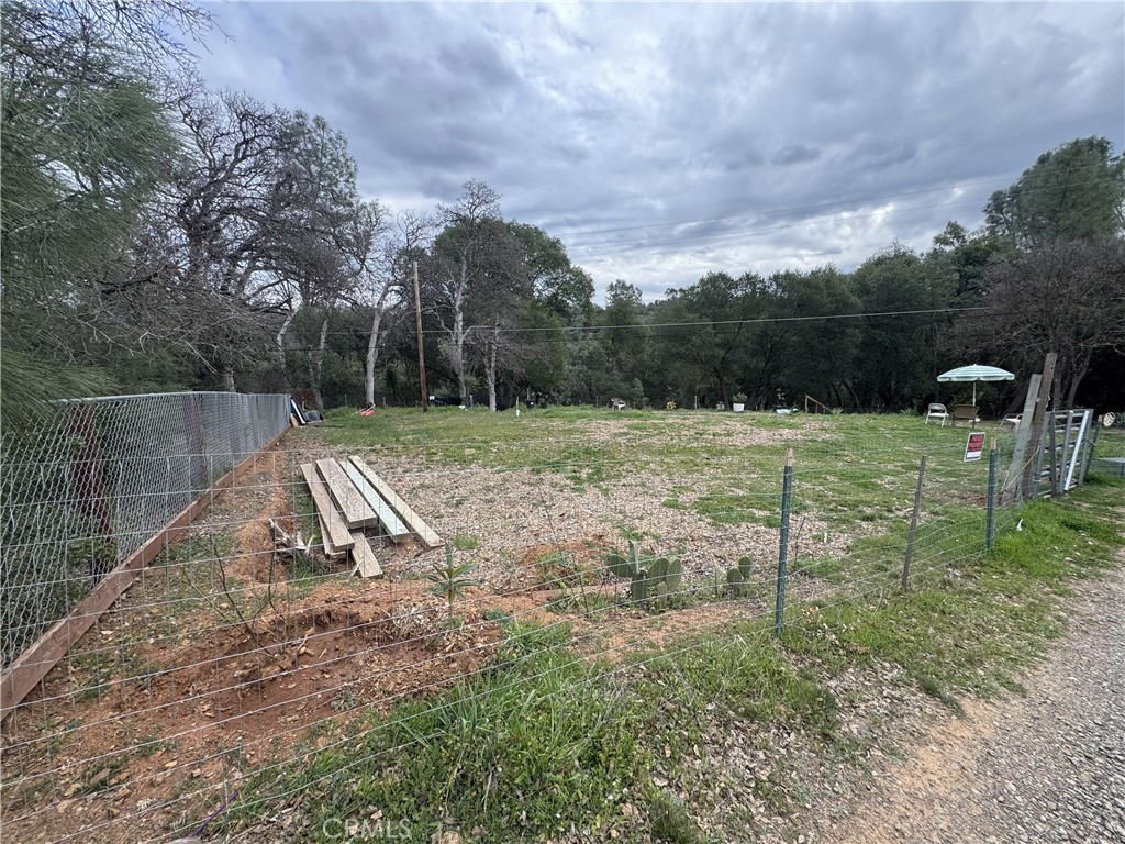 5344 Spruce Property Photo 4