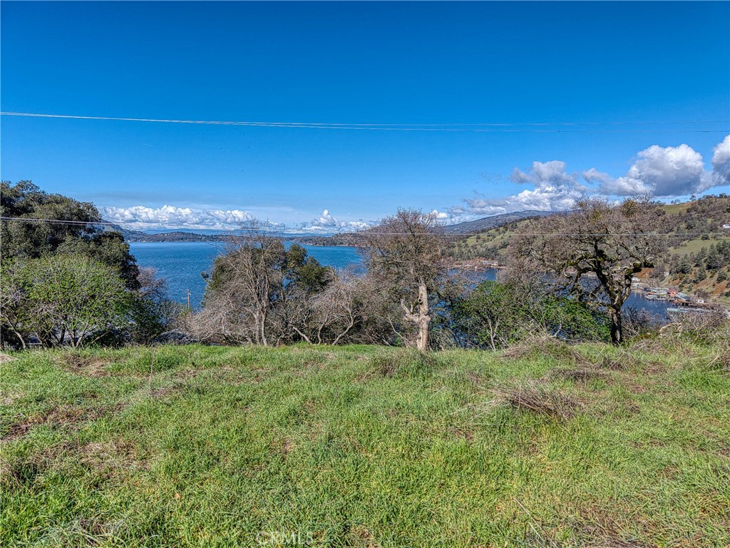 2960 Crestview Property Photo 4