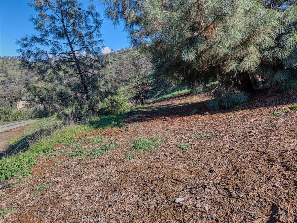 2960 Crestview Property Photo 14