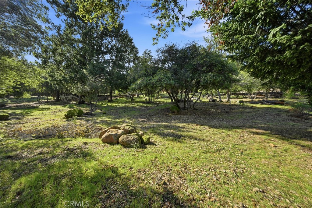 3469 Greenwood Property Photo 8