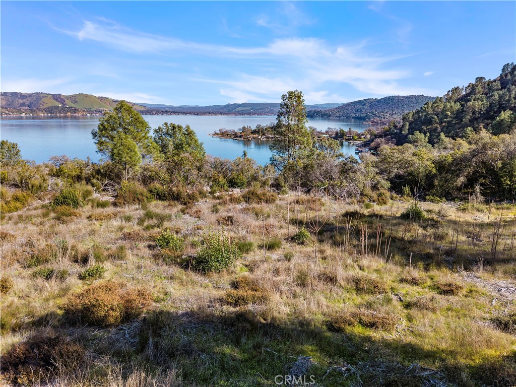11390 Point Lakeview Property Photo 3