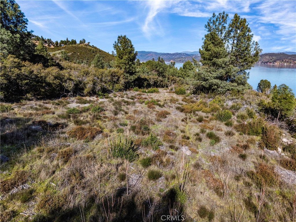 11390 Point Lakeview Property Photo 11
