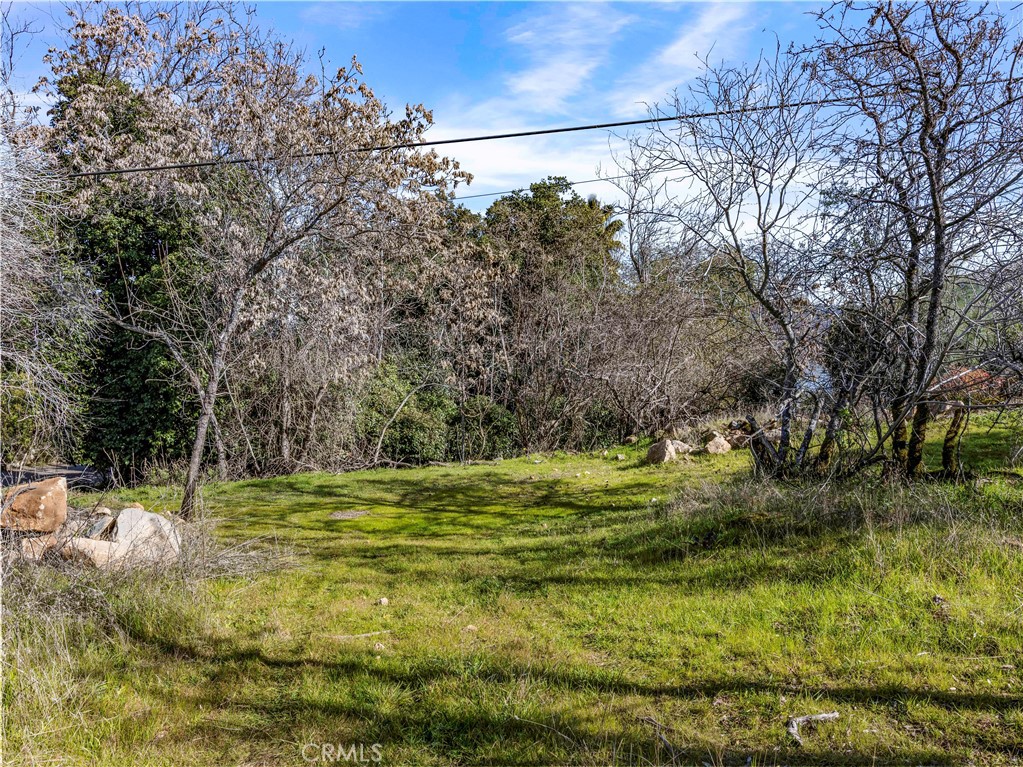 11390 Point Lakeview Property Photo 13