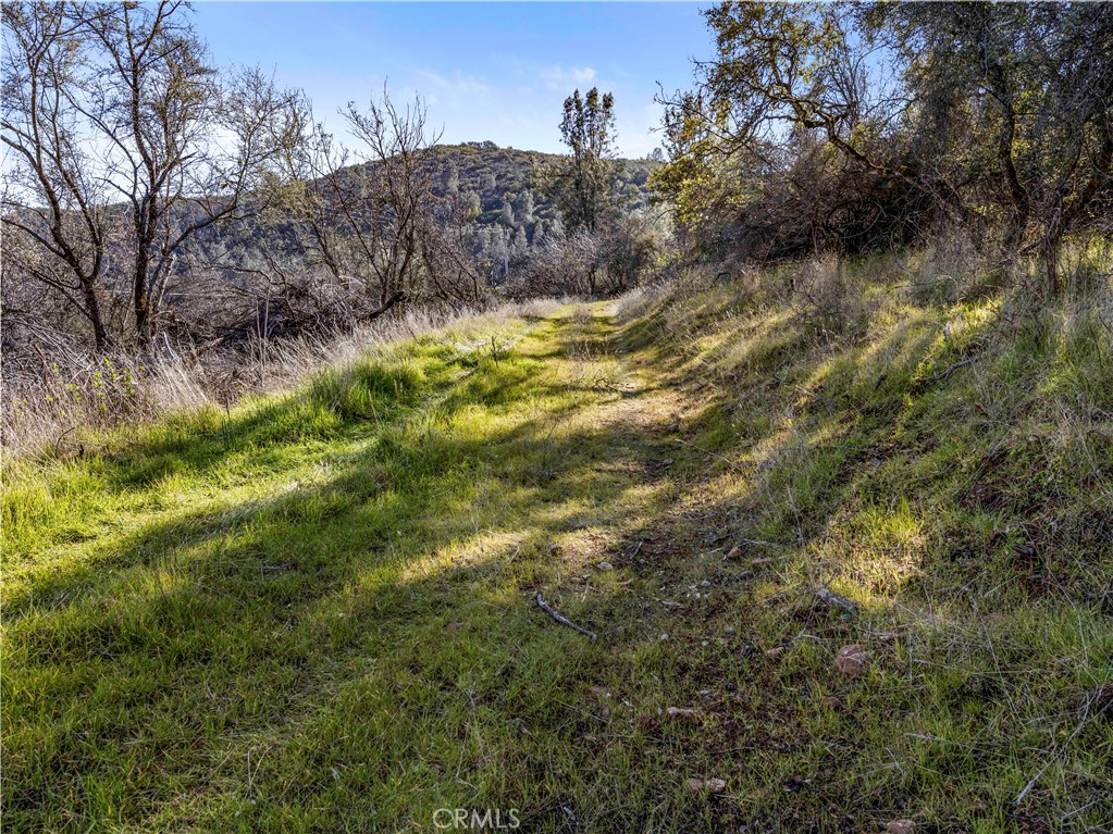 11390 Point Lakeview Property Photo 14