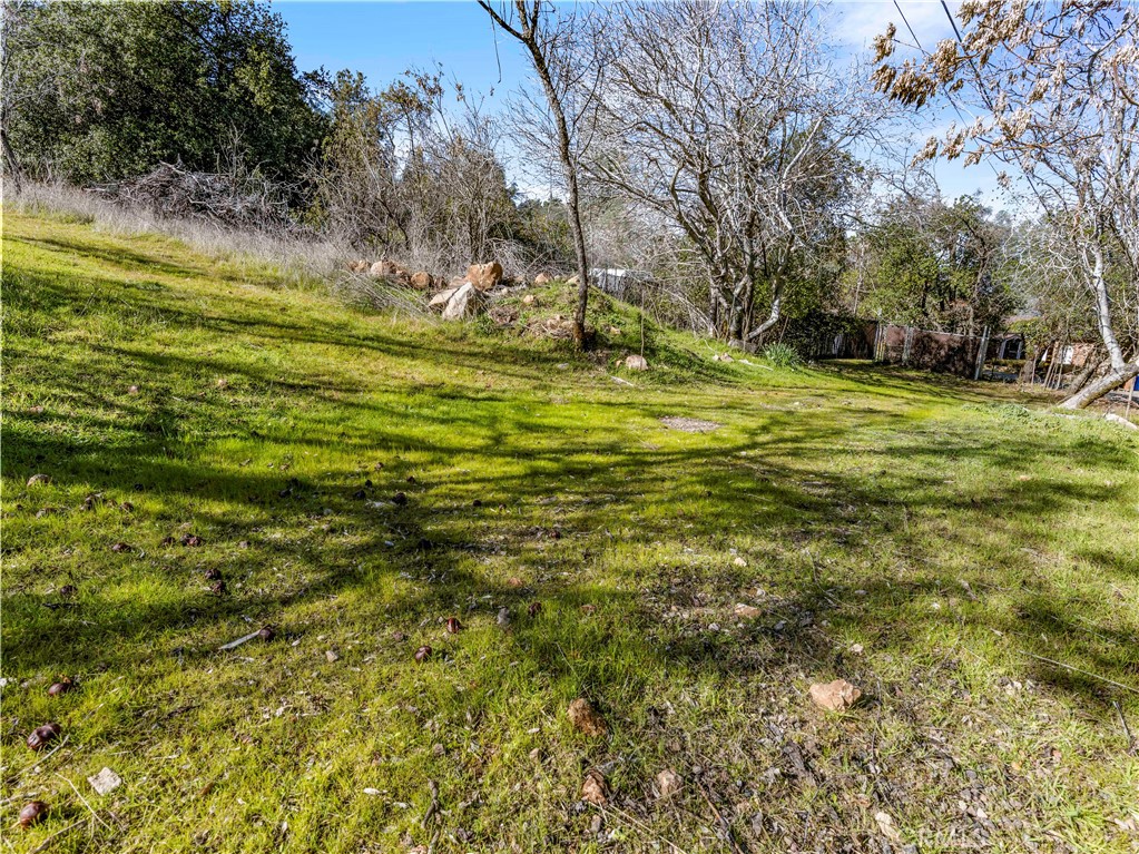 11390 Point Lakeview Property Photo 28