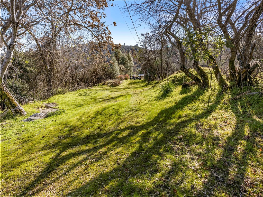 11390 Point Lakeview Property Photo 29