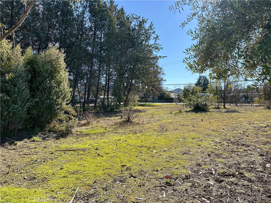 5235 Gaddy Property Photo 37