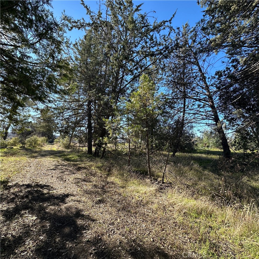 5235 Gaddy Property Photo 43