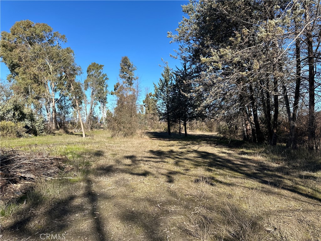 5235 Gaddy Property Photo 45