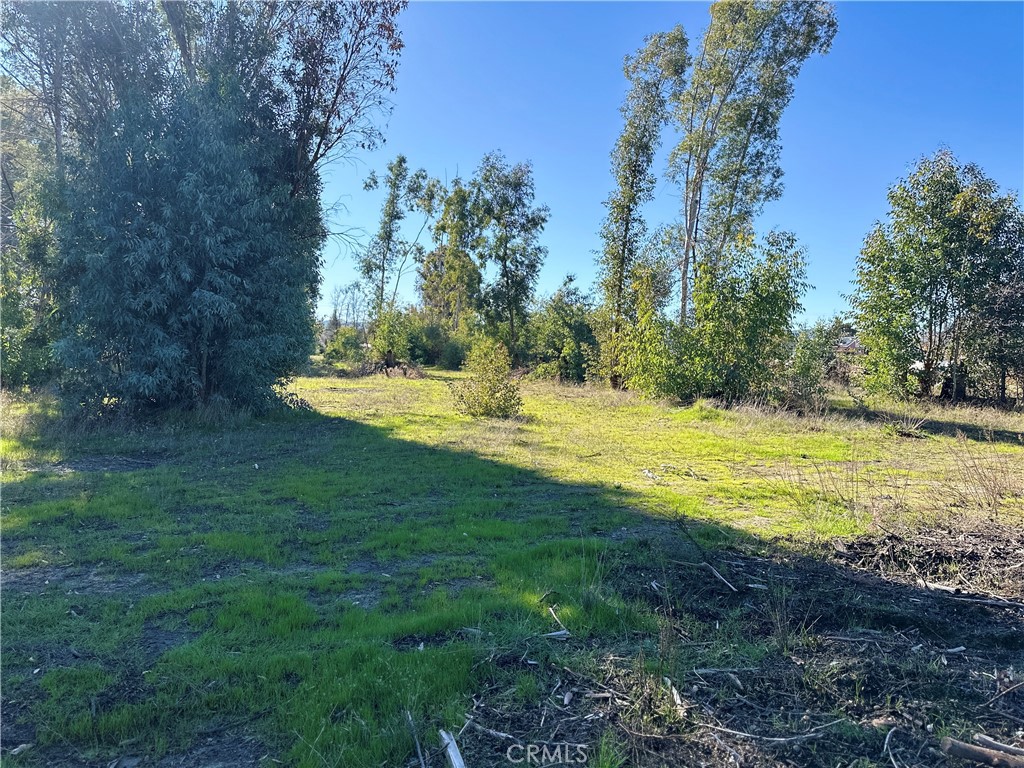 5235 Gaddy Property Photo 46