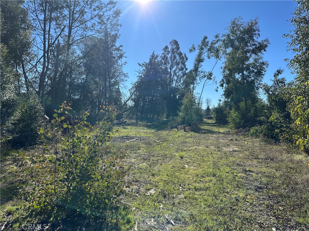 5235 Gaddy Property Photo 47