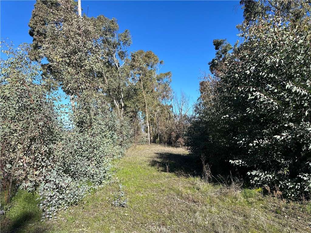 5235 Gaddy Property Photo 48