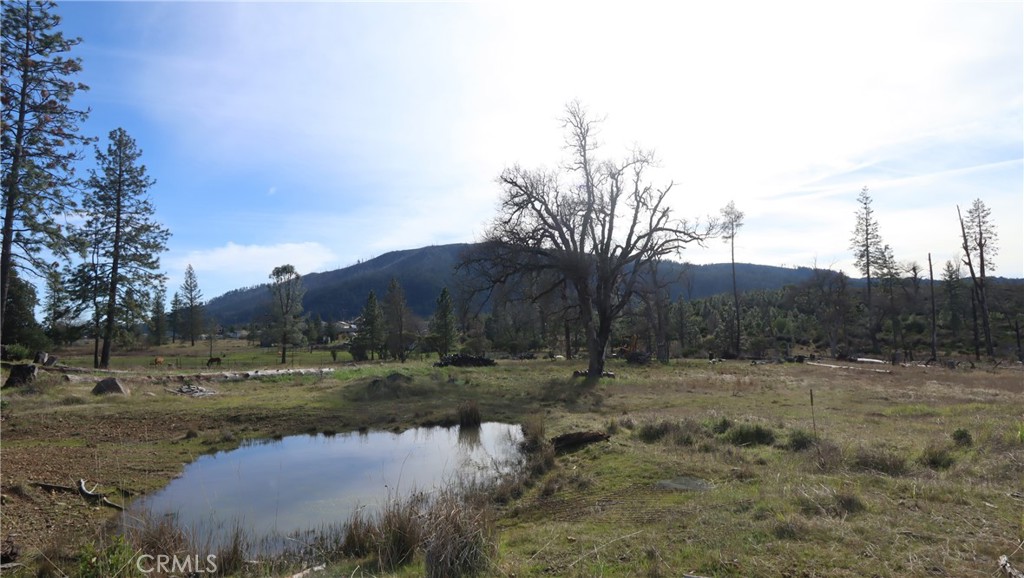 15057 E Hoberg Drive Property Photo 6