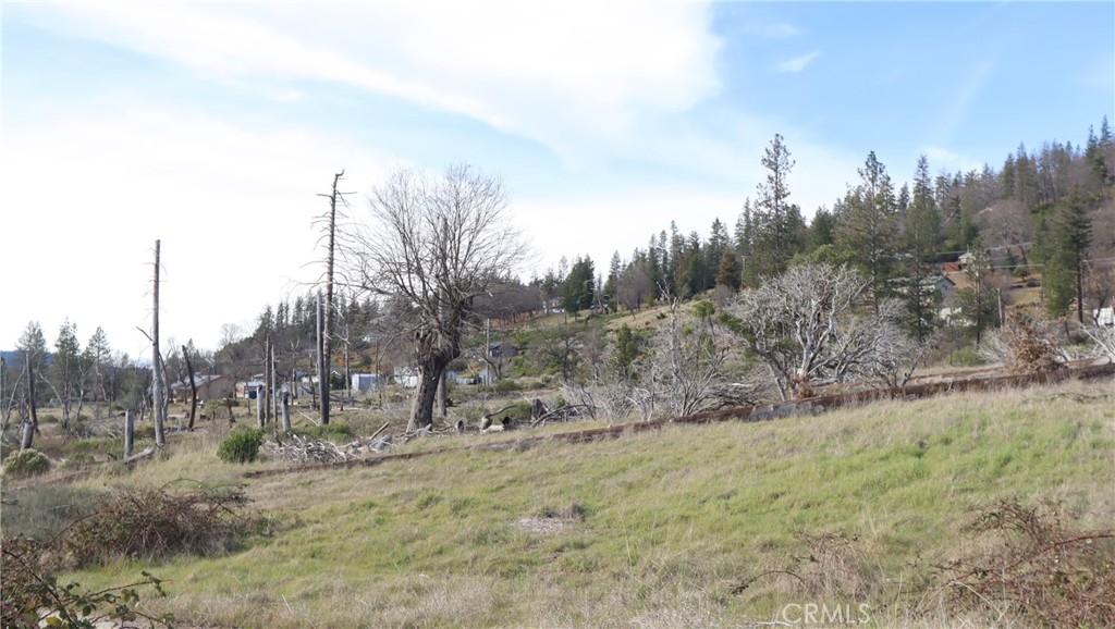 15057 E Hoberg Drive Property Photo 8